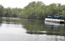 SNL Jamaican Tours Ltd16