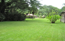 SNL Jamaican Tours Ltd31