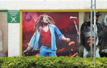 SNL Jamaican Tours Ltd5