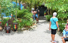 SNL Jamaican Tours Ltd37