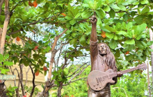 SNL Jamaican Tours Ltd16