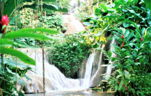 SNL Jamaican Tours Ltd13