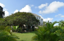 SNL Jamaican Tours Ltd35