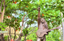 SNL Jamaican Tours Ltd9
