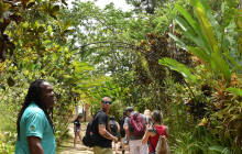 SNL Jamaican Tours Ltd21