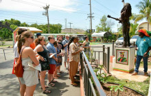 SNL Jamaican Tours Ltd53