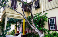 SNL Jamaican Tours Ltd58