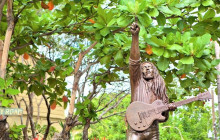 SNL Jamaican Tours Ltd8