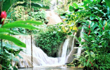 SNL Jamaican Tours Ltd26