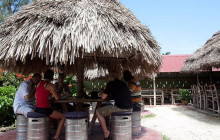 SNL Jamaican Tours Ltd33