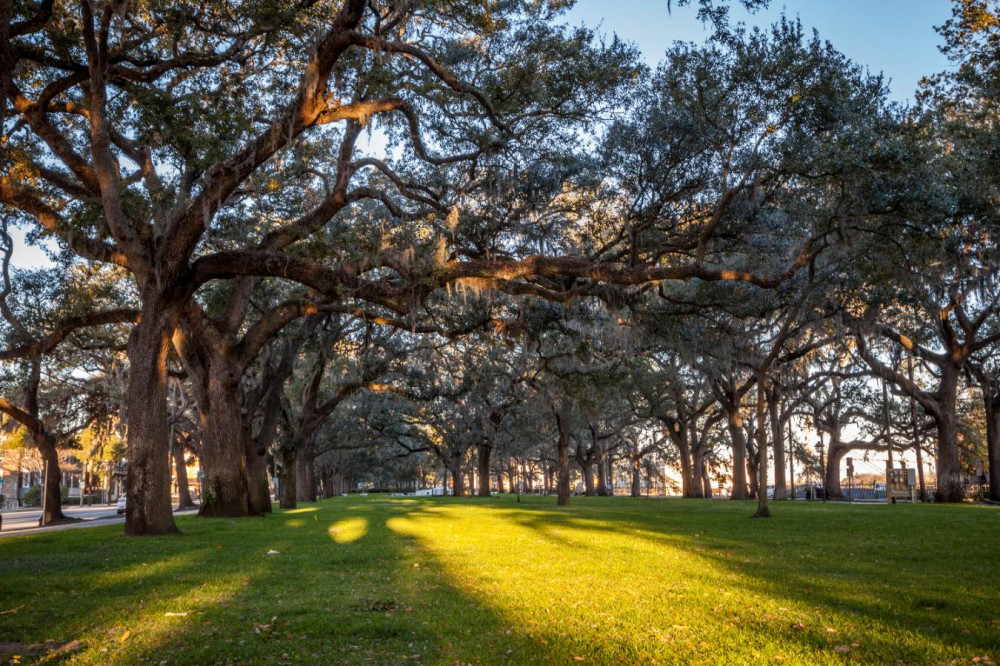 Savannah Self-Guided Walking Audio Tour