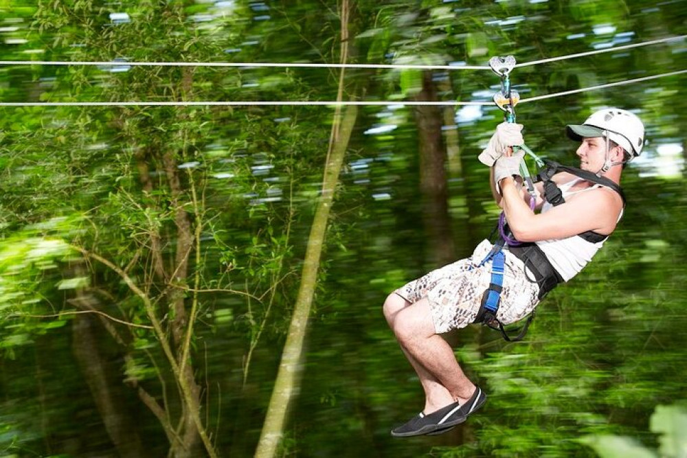 Dunn's River Falls & Zipline Canopy Tour from Falmouth