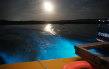 SNL Jamaican Tours Ltd23