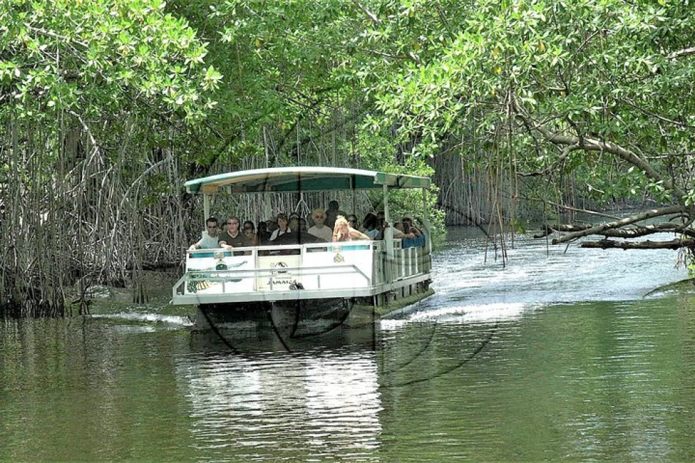 YS Falls & Black River Safari Tour with Lunch from Falmouth