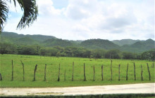 SNL Jamaican Tours Ltd11