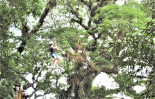 SNL Jamaican Tours Ltd16