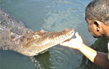 SNL Jamaican Tours Ltd23