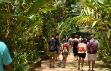 SNL Jamaican Tours Ltd35