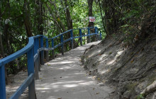 SNL Jamaican Tours Ltd36