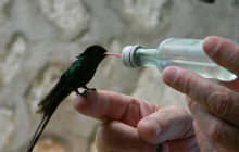 SNL Jamaican Tours Ltd10