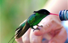 SNL Jamaican Tours Ltd11