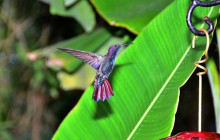 SNL Jamaican Tours Ltd13