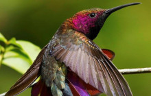 SNL Jamaican Tours Ltd14