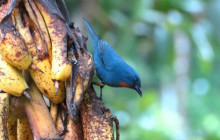 SNL Jamaican Tours Ltd23