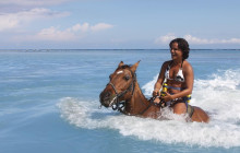 SNL Jamaican Tours Ltd17