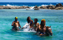 SNL Jamaican Tours Ltd18