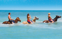 SNL Jamaican Tours Ltd19