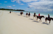 SNL Jamaican Tours Ltd21