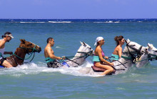 SNL Jamaican Tours Ltd22