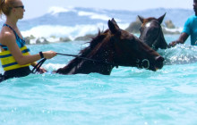 SNL Jamaican Tours Ltd11