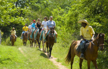 SNL Jamaican Tours Ltd25