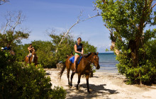 SNL Jamaican Tours Ltd26