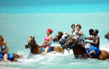 SNL Jamaican Tours Ltd27