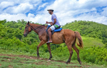 SNL Jamaican Tours Ltd29