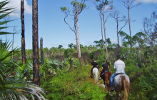 SNL Jamaican Tours Ltd32