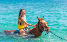 SNL Jamaican Tours Ltd33