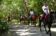 SNL Jamaican Tours Ltd34