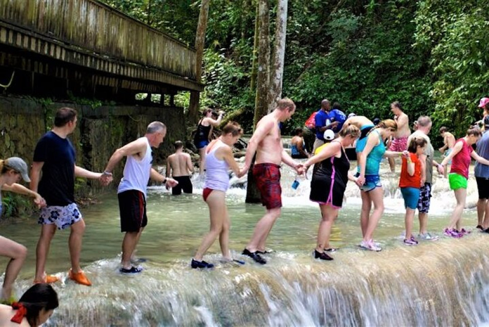 Dunn's River Falls & Luminous Lagoon Guided Tour From Grand Palladium