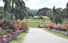 SNL Jamaican Tours Ltd39