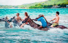 SNL Jamaican Tours Ltd1