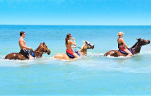 SNL Jamaican Tours Ltd2