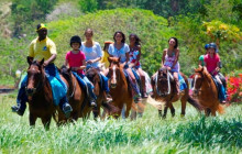 SNL Jamaican Tours Ltd13
