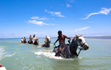 SNL Jamaican Tours Ltd14