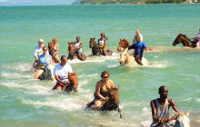 SNL Jamaican Tours Ltd15