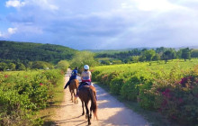 SNL Jamaican Tours Ltd16