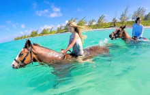 SNL Jamaican Tours Ltd17